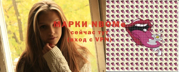 хмурый Арсеньев