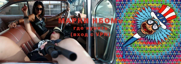 хмурый Арсеньев
