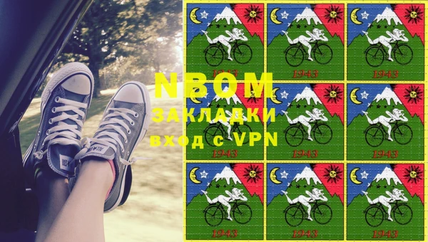 хмурый Арсеньев