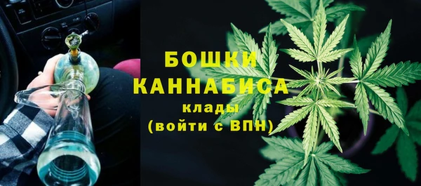 хмурый Арсеньев