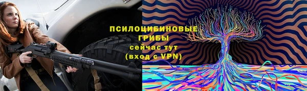хмурый Арсеньев