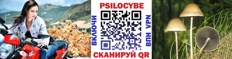 Псилоцибиновые грибы мухоморы  Гулькевичи 