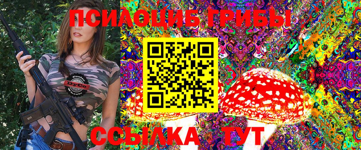 МЕФ Гулькевичи