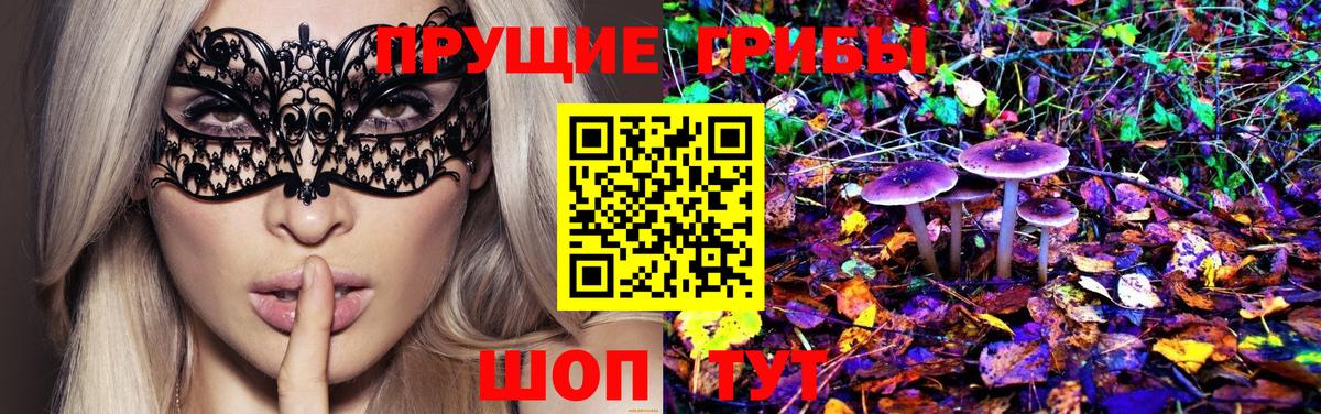 Галлюциногенные грибы Magic Shrooms Гулькевичи