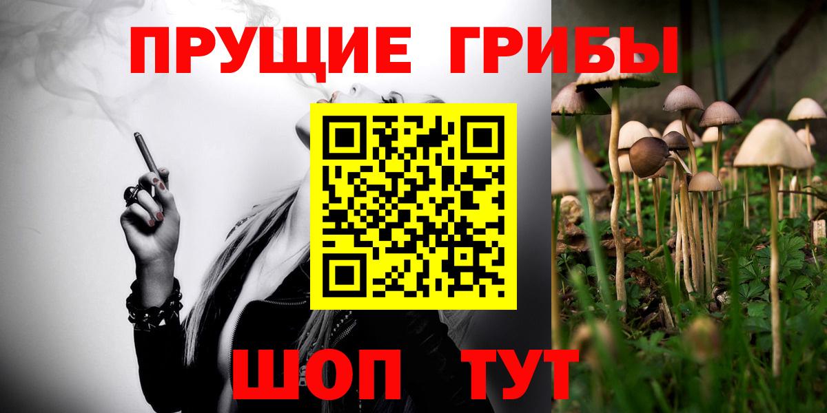 Галлюциногенные грибы GOLDEN TEACHER Гулькевичи