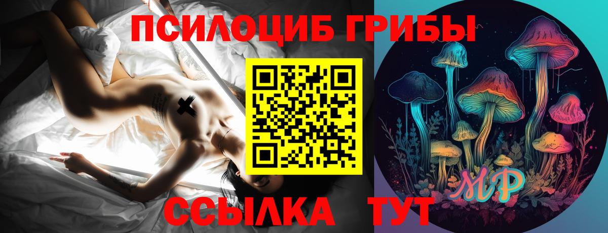 Гулькевичи  Галлюциногенные грибы Psilocybe  Галлюциногенные грибы MAGIC MUSHROOMS  Вход с VPN 