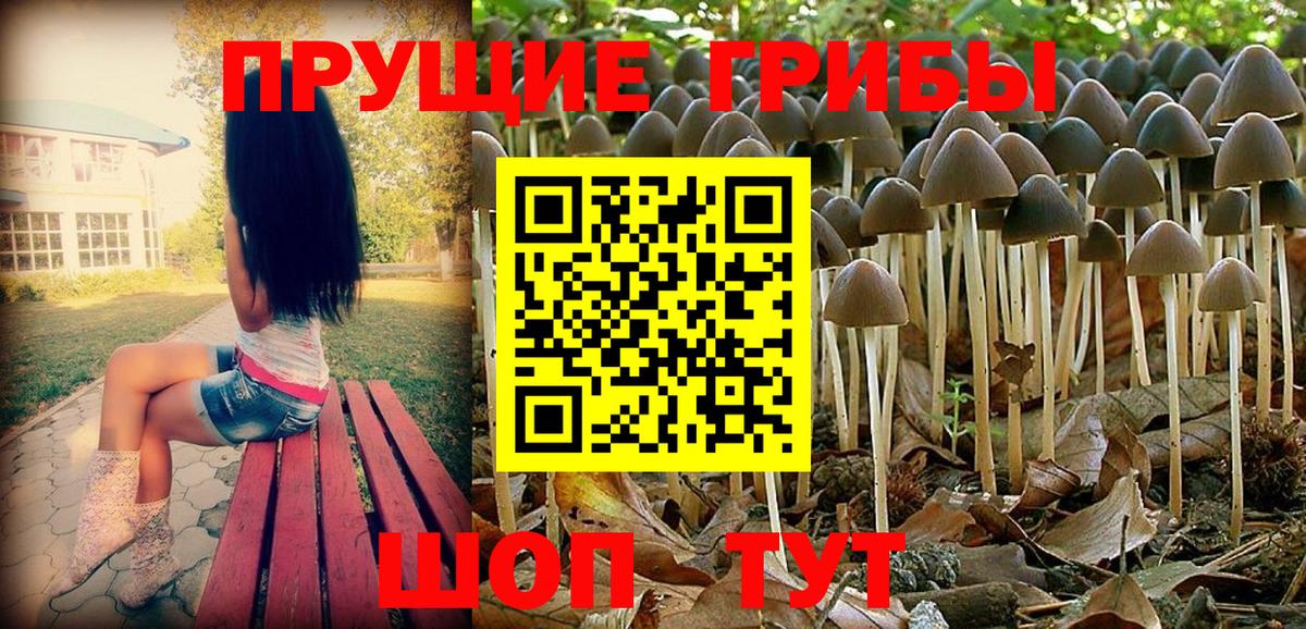 Псилоцибиновые грибы Psilocybe  дарнет шоп  Гулькевичи 