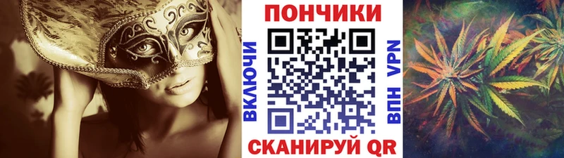 дарнет шоп  Гулькевичи  Бошки Шишки план 